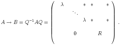 $\displaystyle A \to B = Q^{-1} A Q =
\left(\begin{array}{cccccc}
\lambda & & *...
...a& * & & * \\
{\qquad} \\
& 0 & & & R & \\
{\qquad}
\end{array}\right)
\,.
$